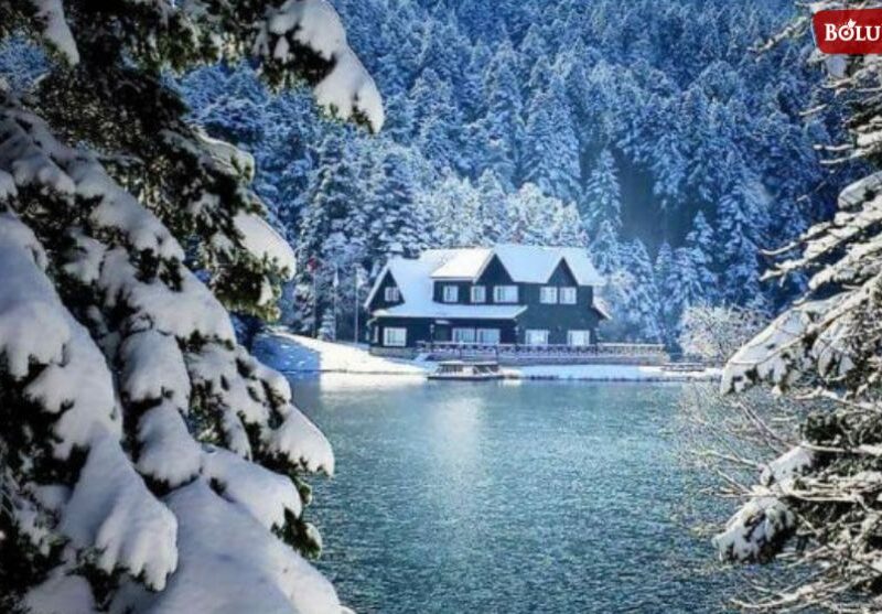 ABANT & KARTALKAYA & KARTEPE & ULUDAĞ