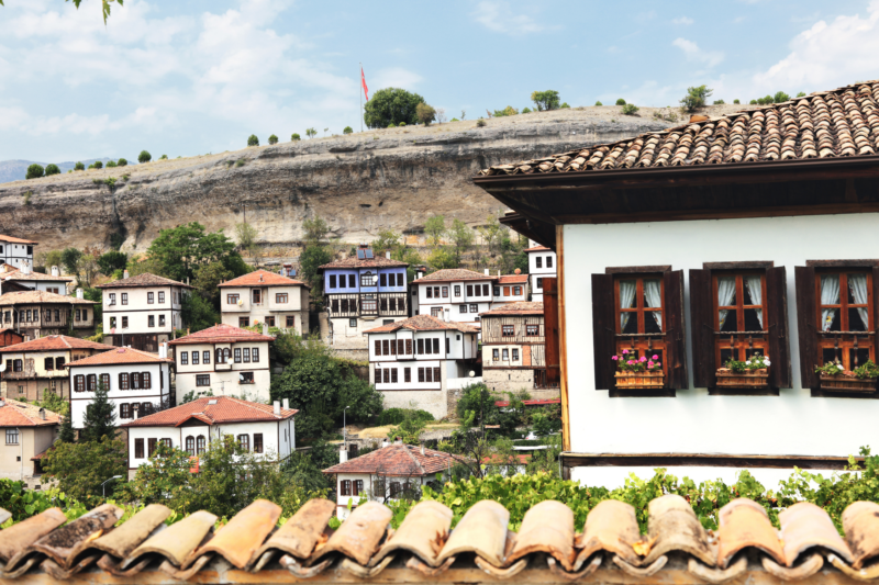 BATI KARADENİZ YEDİGÖLLER ORMANYA