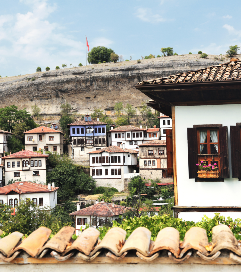 BATI KARADENİZ YEDİGÖLLER ORMANYA