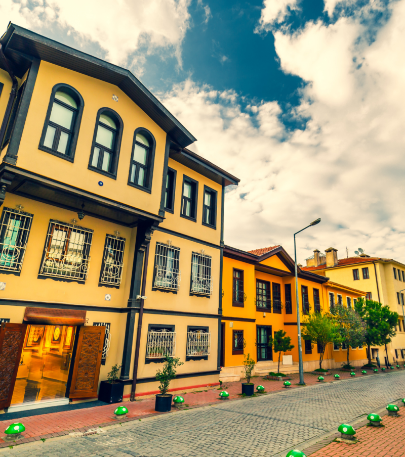 BURSA TRİLYE MUDANYA TURU